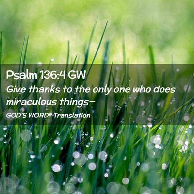 Picture 02 - Psalm 136:4 GW - Give thanks to the only one who does miraculous - Bible Verse Picture