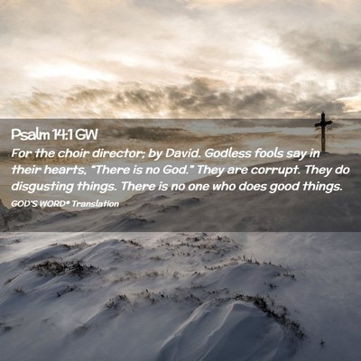 Picture 02 - Psalm 14:1 GW - For the choir director; by David. Godless fools - Bible Verse Picture
