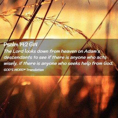 Picture 02 - Psalm 14:2 GW - The Lord looks down from heaven on Adam’s - Bible Verse Picture