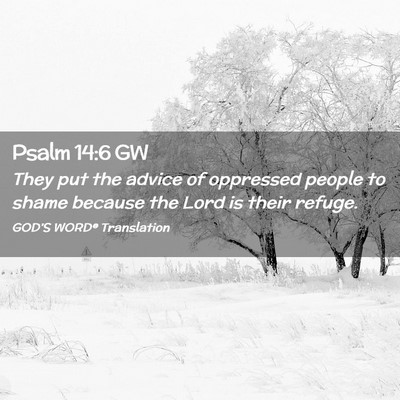 Picture 02 - Psalm 14:6 GW - They put the advice of oppressed people to shame - Bible Verse Picture