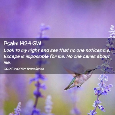 Picture 02 - Psalm 142:4 GW - Look to my right and see that no one notices me. - Bible Verse Picture
