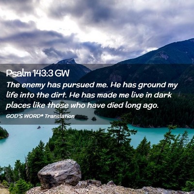 Picture 02 - Psalm 143:3 GW - The enemy has pursued me. He has ground my life - Bible Verse Picture