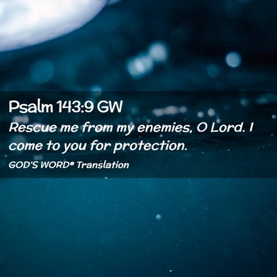 Picture 02 - Psalm 143:9 GW - Rescue me from my enemies, O Lord. I come to you - Bible Verse Picture