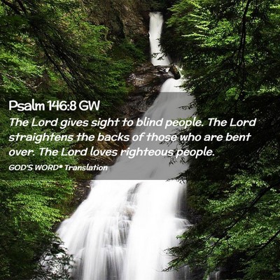 Picture 02 - Psalm 146:8 GW - The Lord gives sight to blind people. The Lord - Bible Verse Picture