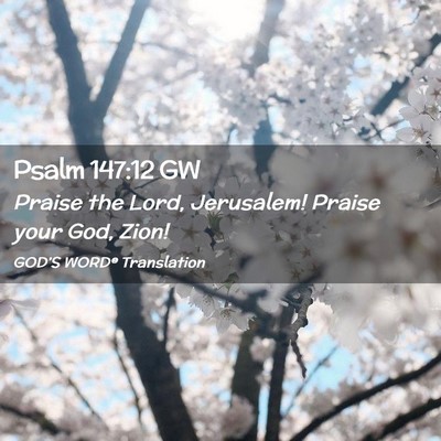 Picture 02 - Psalm 147:12 GW - Praise the Lord, Jerusalem! Praise your God, - Bible Verse Picture