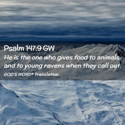 Picture 02 - Psalm 147:9 GW - He is the one who gives food to animals and to - Bible Verse Picture