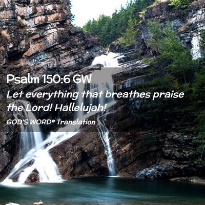 Picture 02 - Psalm 150:6 GW - Let everything that breathes praise the Lord! - Bible Verse Picture