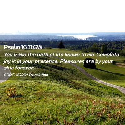 Picture 02 - Psalm 16:11 GW - You make the path of life known to me. Complete - Bible Verse Picture