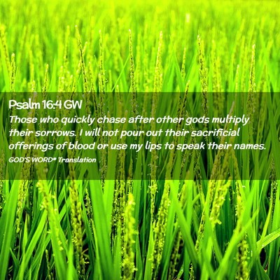 Picture 02 - Psalm 16:4 GW - Those who quickly chase after other gods multiply - Bible Verse Picture