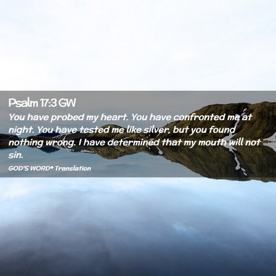 Picture 02 - Psalm 17:3 GW - You have probed my heart. You have confronted me - Bible Verse Picture
