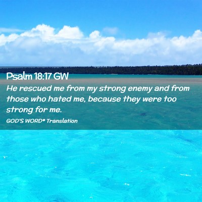 Picture 02 - Psalm 18:17 GW - He rescued me from my strong enemy and from those - Bible Verse Picture