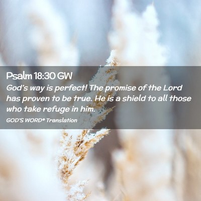 Picture 02 - Psalm 18:30 GW - God’s way is perfect! The promise of the Lord - Bible Verse Picture