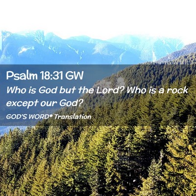 Picture 02 - Psalm 18:31 GW - Who is God but the Lord? Who is a rock except our - Bible Verse Picture