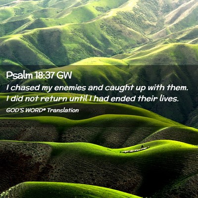 Picture 02 - Psalm 18:37 GW - I chased my enemies and caught up with them. I - Bible Verse Picture