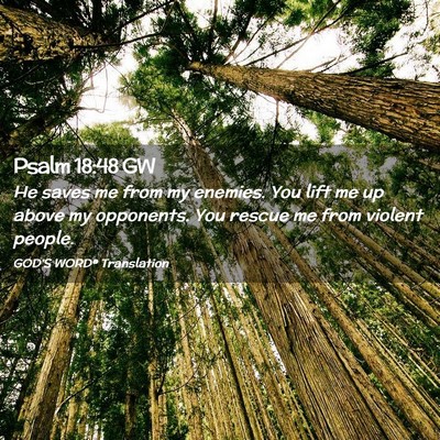Picture 02 - Psalm 18:48 GW - He saves me from my enemies. You lift me up above - Bible Verse Picture