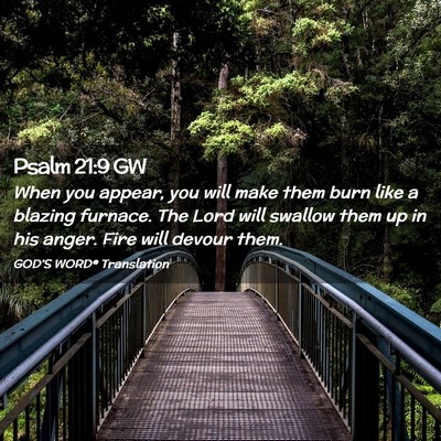 Picture 02 - Psalm 21:9 GW - When you appear, you will make them burn like a - Bible Verse Picture