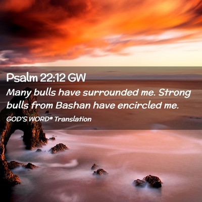 Picture 02 - Psalm 22:12 GW - Many bulls have surrounded me. Strong bulls from - Bible Verse Picture