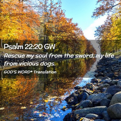 Picture 02 - Psalm 22:20 GW - Rescue my soul from the sword, my life from - Bible Verse Picture