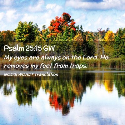 Picture 02 - Psalm 25:15 GW - My eyes are always on the Lord. He removes my - Bible Verse Picture
