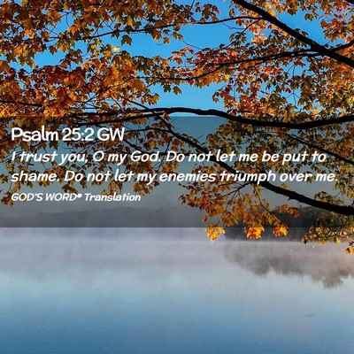 Picture 02 - Psalm 25:2 GW - I trust you, O my God. Do not let me be put to - Bible Verse Picture