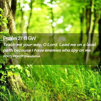 Picture 02 - Psalm 27:11 GW - Teach me your way, O Lord. Lead me on a level - Bible Verse Picture