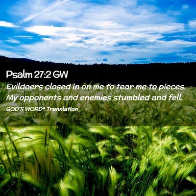 Picture 02 - Psalm 27:2 GW - Evildoers closed in on me to tear me to pieces. - Bible Verse Picture