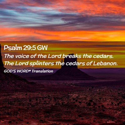Picture 02 - Psalm 29:5 GW - The voice of the Lord breaks the cedars. The Lord - Bible Verse Picture