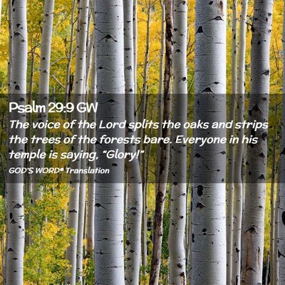 Picture 02 - Psalm 29:9 GW - The voice of the Lord splits the oaks and strips - Bible Verse Picture