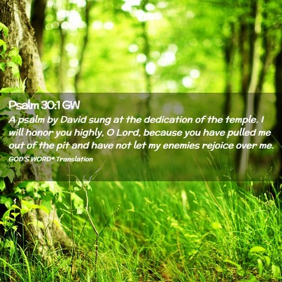 Picture 02 - Psalm 30:1 GW - A psalm by David sung at the dedication of the - Bible Verse Picture