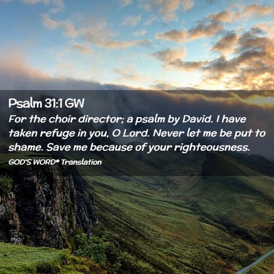 Picture 02 - Psalm 31:1 GW - For the choir director; a psalm by David. I have - Bible Verse Picture