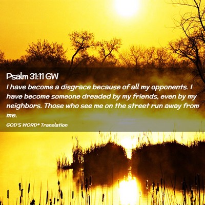 Picture 02 - Psalm 31:11 GW - I have become a disgrace because of all my - Bible Verse Picture