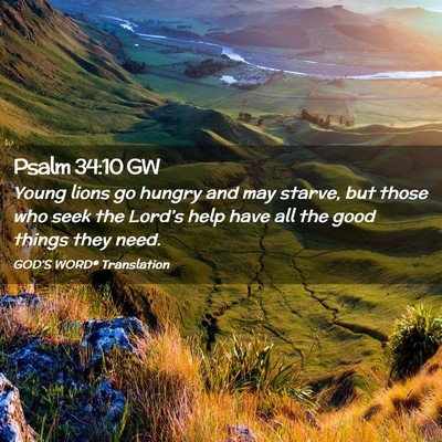 Picture 02 - Psalm 34:10 GW - Young lions go hungry and may starve, but those - Bible Verse Picture