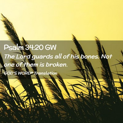 Picture 02 - Psalm 34:20 GW - The Lord guards all of his bones. Not one of them - Bible Verse Picture