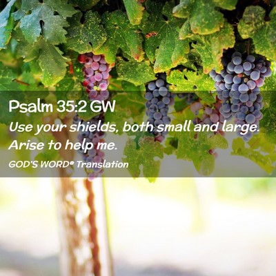Picture 02 - Psalm 35:2 GW - Use your shields, both small and large. Arise to - Bible Verse Picture