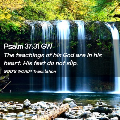 Picture 02 - Psalm 37:31 GW - The teachings of his God are in his heart. His - Bible Verse Picture