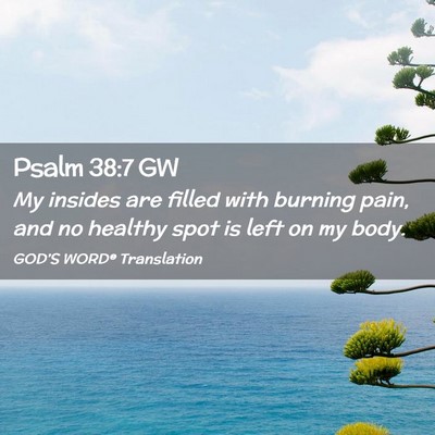 Picture 02 - Psalm 38:7 GW - My insides are filled with burning pain, and no - Bible Verse Picture