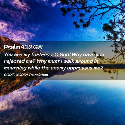 Picture 02 - Psalm 43:2 GW - You are my fortress, O God! Why have you rejected - Bible Verse Picture