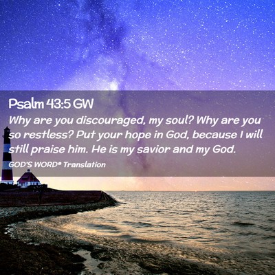 Picture 02 - Psalm 43:5 GW - Why are you discouraged, my soul? Why are you so - Bible Verse Picture