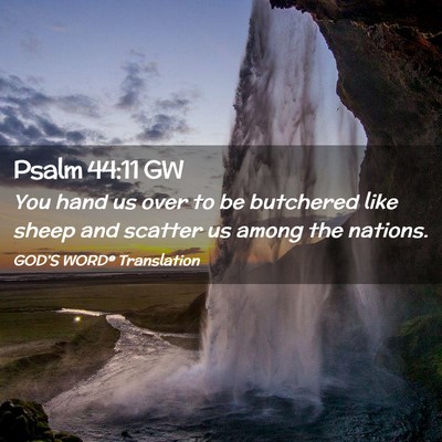 Picture 02 - Psalm 44:11 GW - You hand us over to be butchered like sheep and - Bible Verse Picture