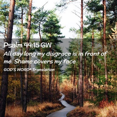Picture 02 - Psalm 44:15 GW - All day long my disgrace is in front of me. Shame - Bible Verse Picture
