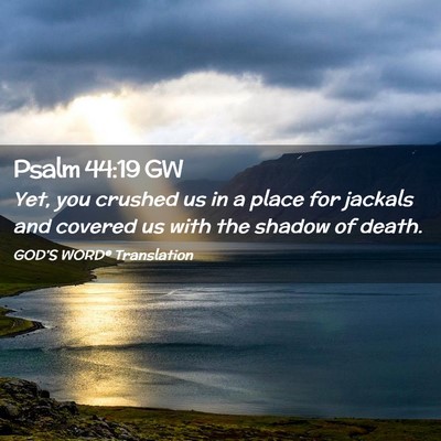 Picture 02 - Psalm 44:19 GW - Yet, you crushed us in a place for jackals and - Bible Verse Picture