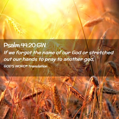 Picture 02 - Psalm 44:20 GW - If we forgot the name of our God or stretched out - Bible Verse Picture