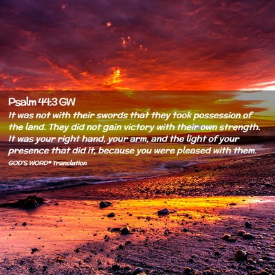 Picture 02 - Psalm 44:3 GW - It was not with their swords that they took - Bible Verse Picture