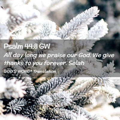 Picture 02 - Psalm 44:8 GW - All day long we praise our God. We give thanks to - Bible Verse Picture