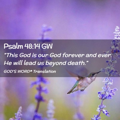 Picture 02 - Psalm 48:14 GW - “This God is our God forever and ever. He will - Bible Verse Picture