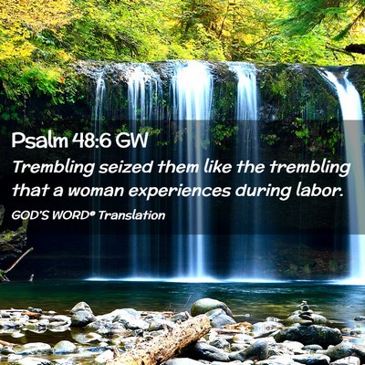 Picture 02 - Psalm 48:6 GW - Trembling seized them like the trembling that a - Bible Verse Picture