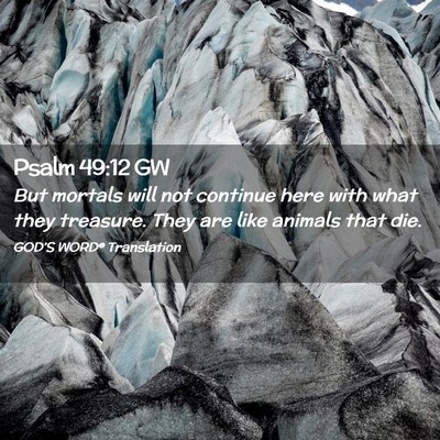 Picture 02 - Psalm 49:12 GW - But mortals will not continue here with what they - Bible Verse Picture