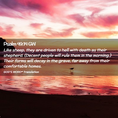 Picture 02 - Psalm 49:14 GW - Like sheep, they are driven to hell with death as - Bible Verse Picture