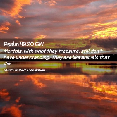 Picture 02 - Psalm 49:20 GW - Mortals, with what they treasure, still don’t - Bible Verse Picture