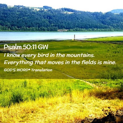 Picture 02 - Psalm 50:11 GW - I know every bird in the mountains. Everything - Bible Verse Picture